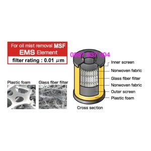 EMS700